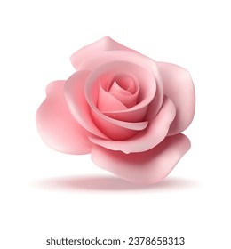 Natural fresh pink rose flower bud blossom plant with petals 3d icon realistic vector illustration