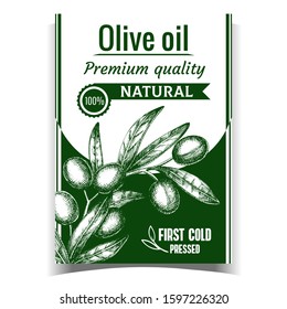 Natural Freshness Olive Tree Branch Poster Vector. Agriculture Olive Oil Plant Twig with Berries Depicted On Advertising Creative Banner. Green Leaves Layout Monochrome Illustration