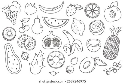 Natural fruits and berries doodle set. Whole and slice of organic garden harvest collection. Exotic vitamin nutrition, delicious antioxidant products grunge design elements vector illustration
