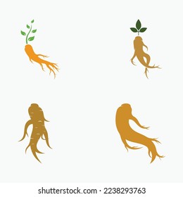 Natürliches Ginseng Kräuterlogo und Blätter.Logo für Geschäft, Kräuterpflanzen, Blumen.