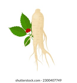 Natural Ginseng Root Realistic Vector Illustration Logo