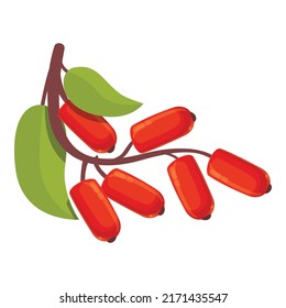 Natural goji icon cartoon vector. Berberis fruit. Berry plant
