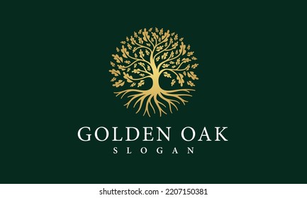 Naturaleza del vector del logotipo del árbol de roble dorado natural Roots Modelo de diseño del logotipo de crecimiento