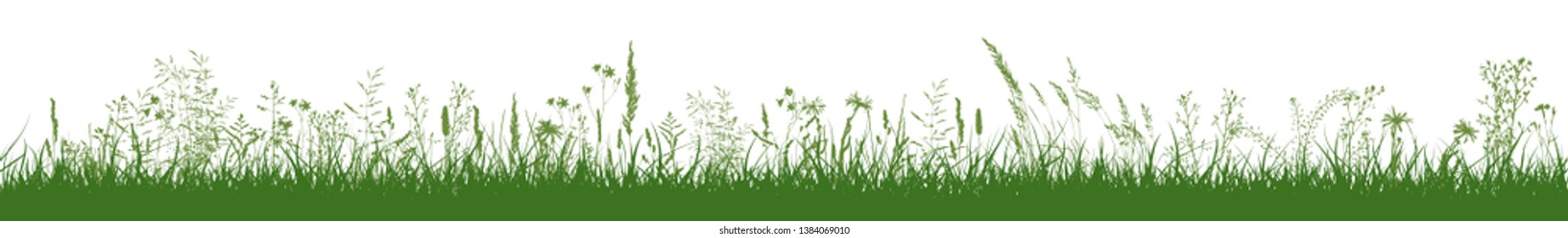 Natural grass horizontal background. Vector illustration