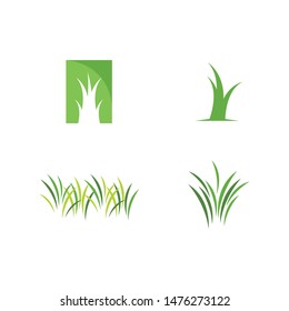 Natural Grass ilustration logo vector design