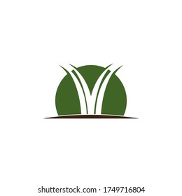 
Natural Grass ilustration logo vector design template