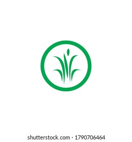 Natural Grass ilustration logo vector design
