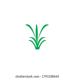 Natural Grass ilustration logo vector design
