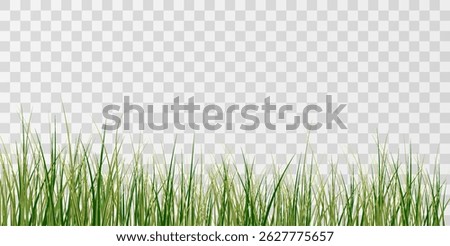 Natural Grass Overlay  – Vibrant Green Lawn Patch with Transparency, Eco Grass Vector for Garden, Park, Backyard, Environmental Design, and Spring Season Nature Illustration