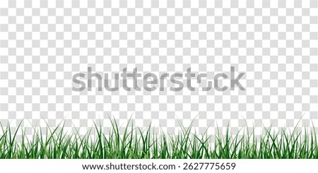 Natural Grass Overlay  – Vibrant Green Lawn Patch with Transparency, Eco Grass Vector for Garden, Park, Backyard, Environmental Design, and Spring Season Nature Illustration