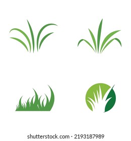 natural grass vector logo design