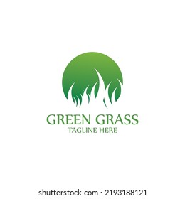 diseño del logotipo del vector de césped natural