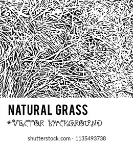 Natural Grass vector textured background and eco grunge items for the creation of design banners, music cover, wallpapers,  flyers, websites with grunge bio ideas.