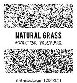 Natural Grass vector textured background and eco grunge items for the creation of design banners, music cover, wallpapers,  flyers, websites with grunge bio ideas.