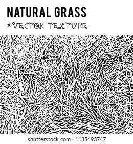 Natural Grass vector textured background and eco grunge items for the creation of design banners, music cover, wallpapers,  flyers, websites with grunge bio ideas.