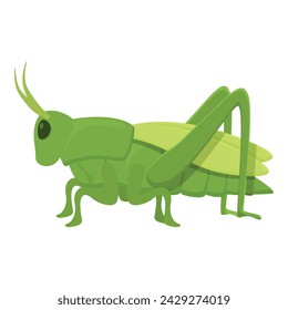 Natural grasshopper icon cartoon vector. Small collection. Adorable creature