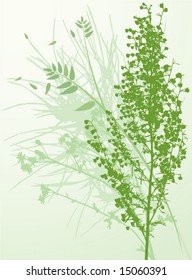 natural green background