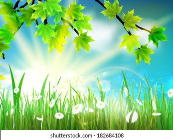 Natural green background with maple leaf and grass. EPS10