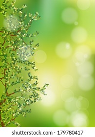 Natural green background with selective focus. And also includes EPS 10 vector