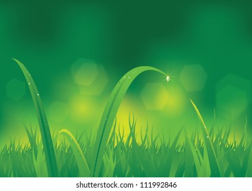 Natural green background with vector grass and Water drop