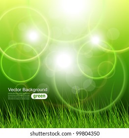 Natural green background with vector grass.