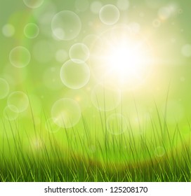 Natural green background with vector sun and grass.