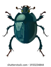 Natural green bug with glossy back. Modern vector illustration. Simmetrical