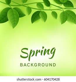 Natural green eco background with leaves and lianas. Spring concept. Vector design illustration.
