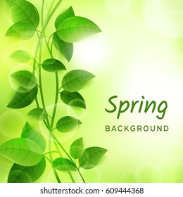 Natural green eco background with leaves and lianas. Spring concept. Vector design illustration.
