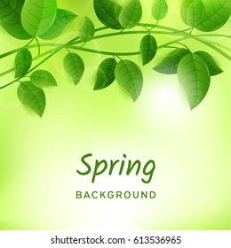 Natural green eco background with leaves and lianas. Spring concept. Vector design illustration.