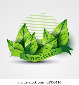 natural green ecofriendly vector with leafs