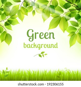 Natural green fresh spring leaves and grass botanic foliage decorative background poster print vector illustration