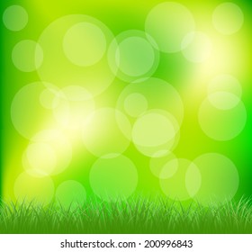 Natural green grass background