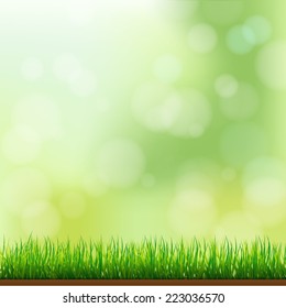 Natural Green Grass Background with Focus and Bokeh