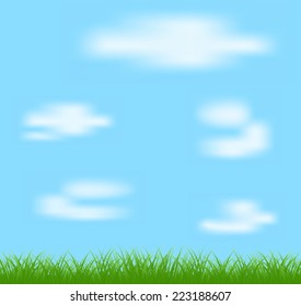 Natural green grass and blue background