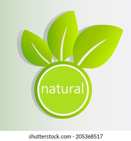 Natural Green Icon