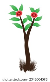 Plantas de flores de hoja verde natural aisladas en fondo blanco para verano, primavera y otras estaciones.