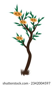 Natural green leaf flower tree plant isolated on white background for summer, spring, and other seasons.