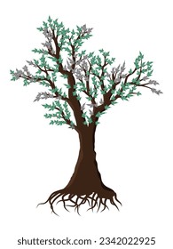 Natürliche Pflanzen von grünen Blättern, einzeln auf weißem Hintergrund für Sommer, Frühling und andere Jahreszeiten.