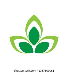 natural green leaf icon, ornaments and design decorations
