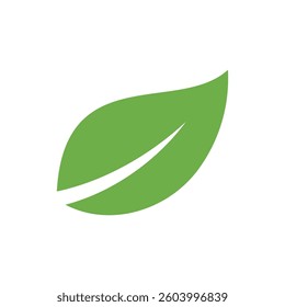 Natural Green Leaf Icon Vector Template