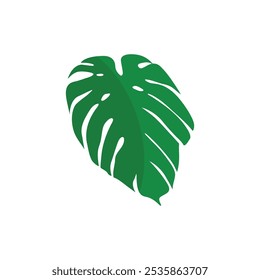 natural green leaf illustration icon