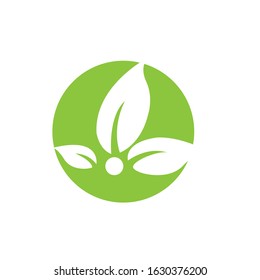 Natural green leaf logo design vector on white background