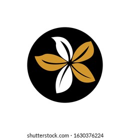 Natural green leaf logo design vector on white background