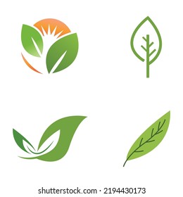 natural green leaf logo icon