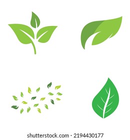 natural green leaf logo icon