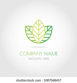 Natural green leaf logo vector design on white gradient background