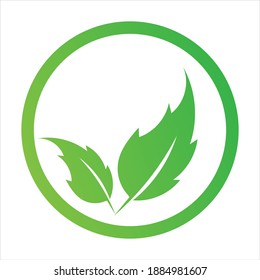 natural green leaf logo vector