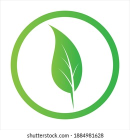 natural green leaf logo vector