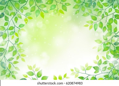 natural green leaves background